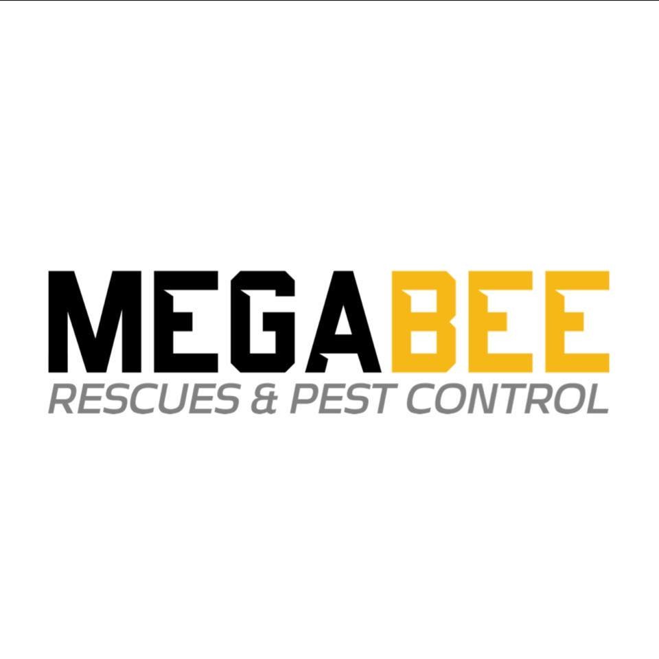Mega Bee Rescues  Pest Control
